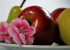 Ilaria_Losa_001