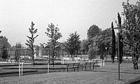 29- i giardini pubblici di via Roma