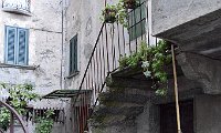 006_DSC_0024
