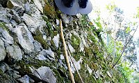 019_2017 Nesso_097