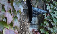 033_PA080025