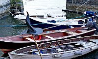 062_2017 Nesso_155