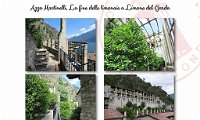 2022 Four Frames-Azzo Martinelli_04