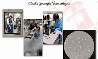 2022 Four Frames-Claudio Garavaglia_06