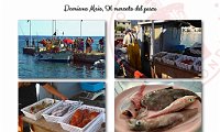 2022 Four Frames-Damiano Maio_08