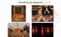 2022 Four Frames-Elena Novali_10