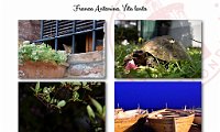 2022 Four Frames-Franca Antonino_12